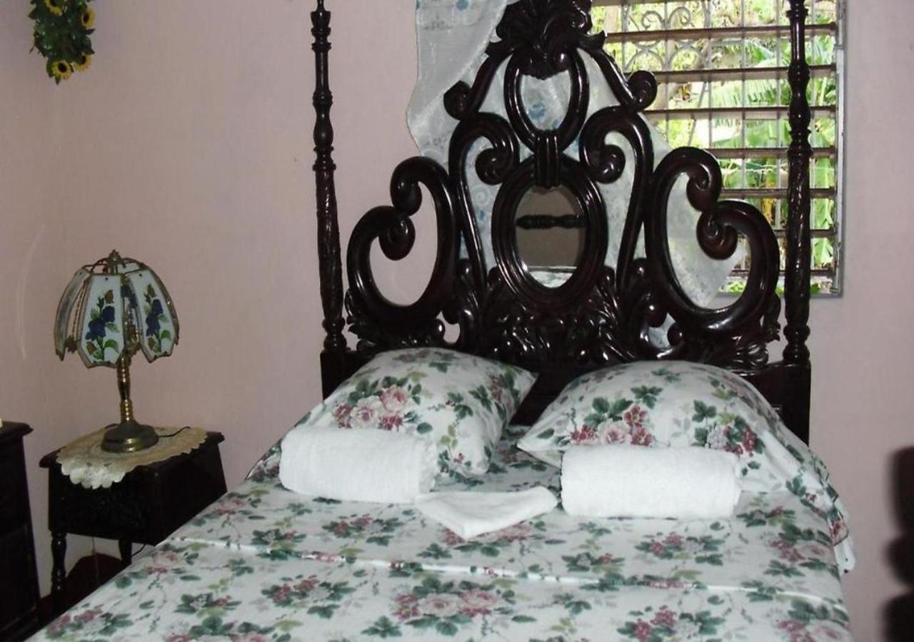 Kingston Airport Bed And Breakfast Εξωτερικό φωτογραφία