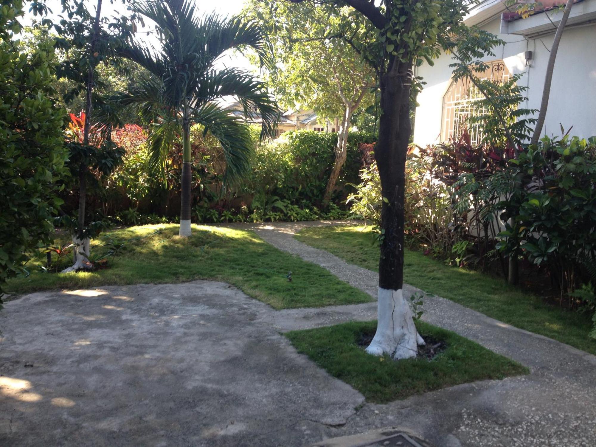 Kingston Airport Bed And Breakfast Εξωτερικό φωτογραφία
